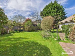Garden- click for photo gallery